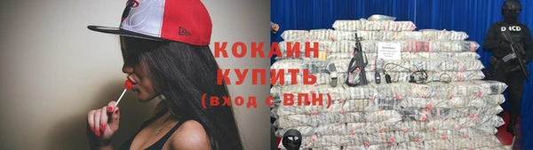 гашик Аркадак