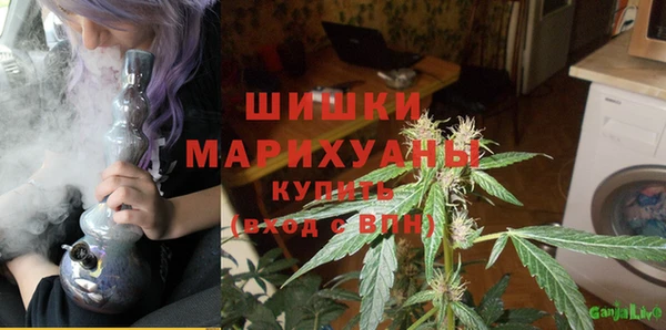 гашик Аркадак
