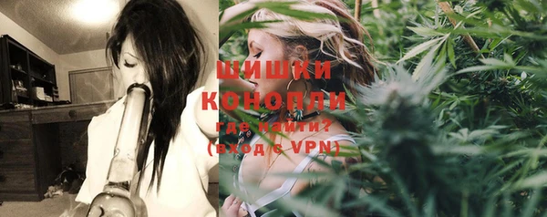 гашик Аркадак